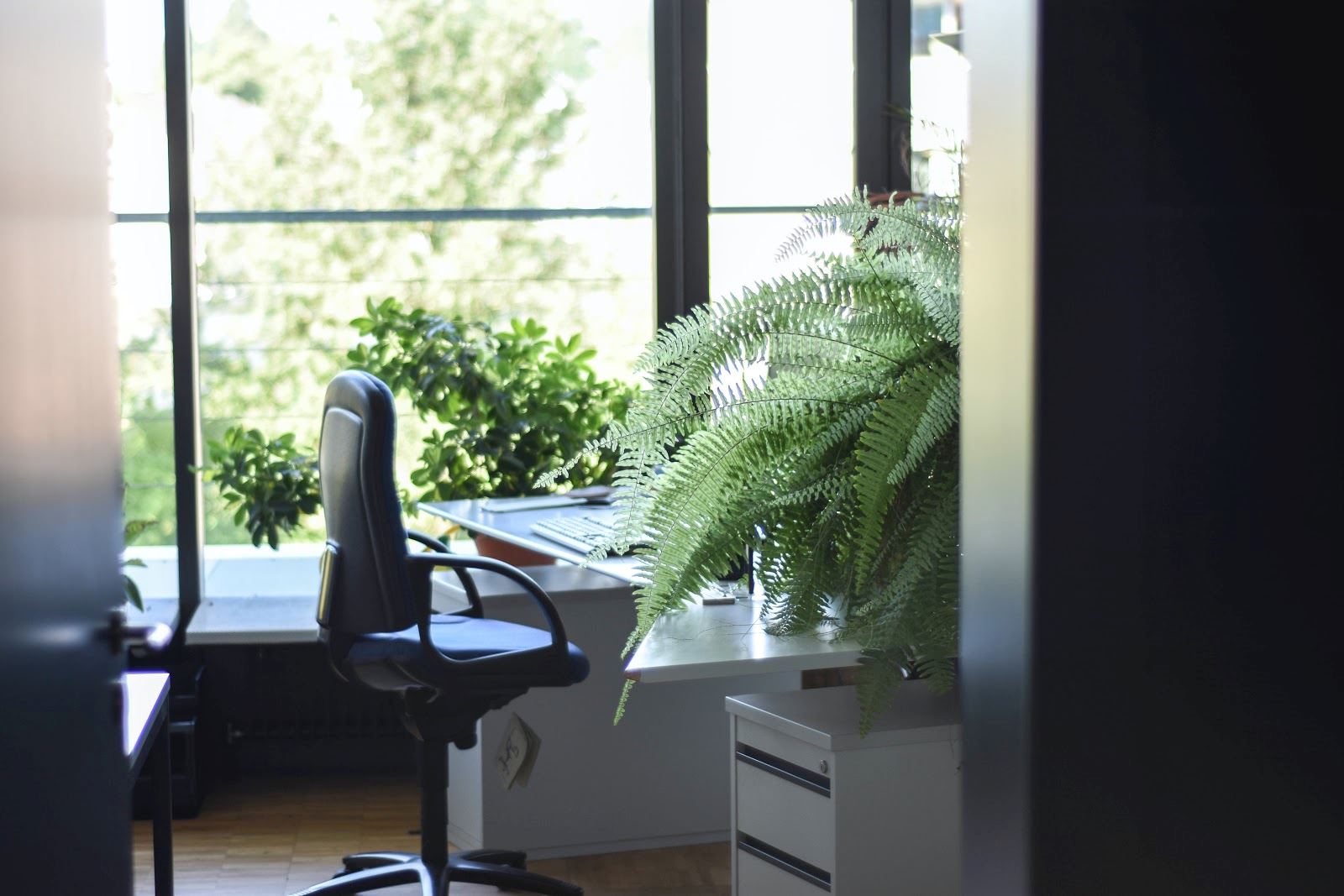 Empty office