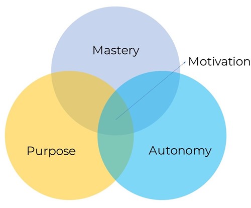 Dan Pink's model for motivation at work, taken from his book 'Drive.'