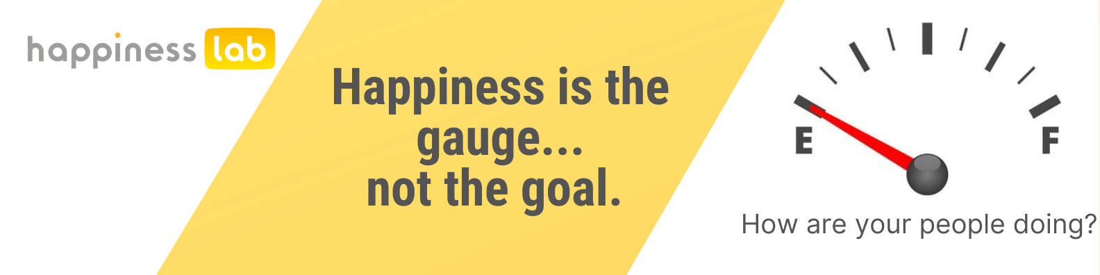 Happiness is the gauge not the goal